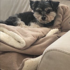 Meet your Posher, Annie